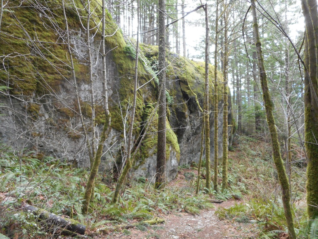 Why they call it the Boulder Garden Loop