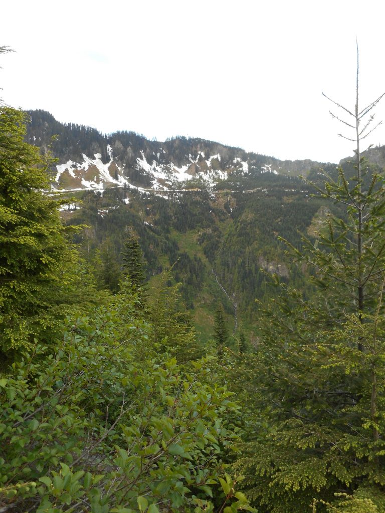 Looking across the canyon